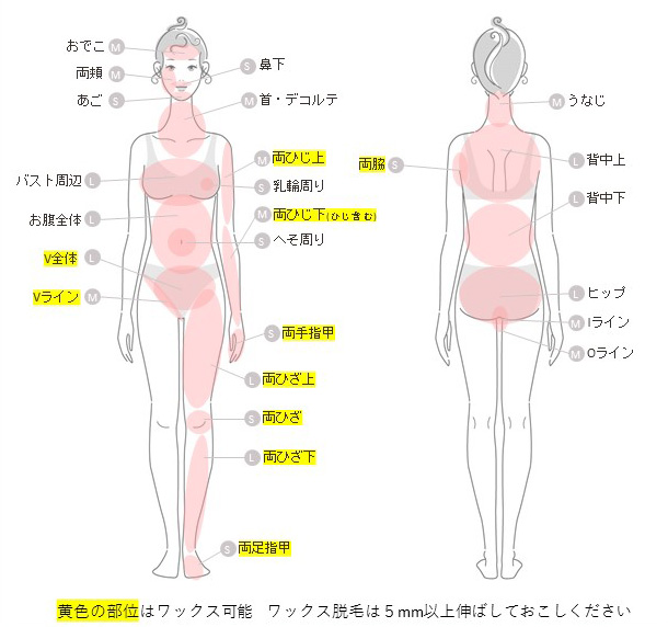 ご来店前に剃毛をお願いいたします。